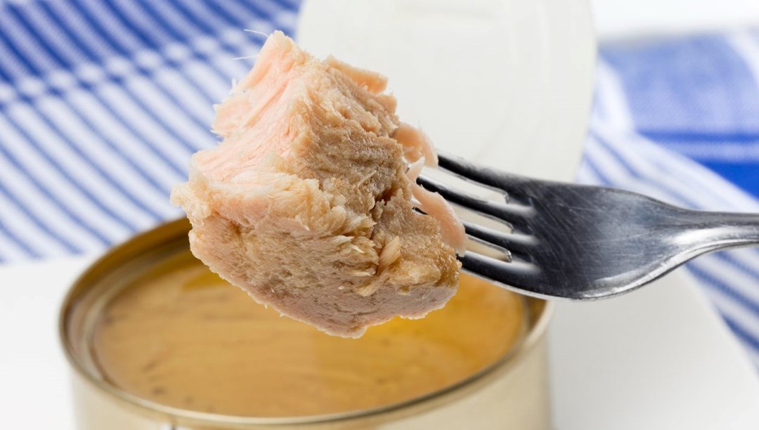 Beslenme uzmanı açıkladı: Ton balığı konservesi ne kadar sağlıklı?