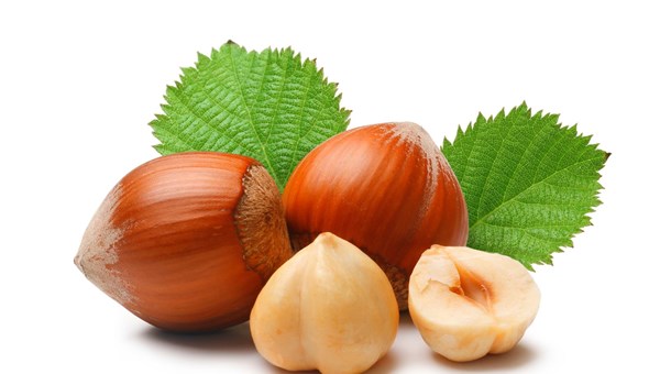 Antioksidan yararı için fındık kavrulmadan tüketilmeli!