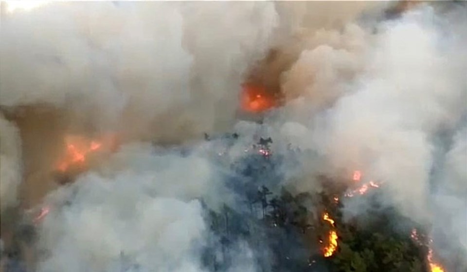 Marmaris'te orman yangını - Son Dakika Türkiye Haberleri | NTV Haber