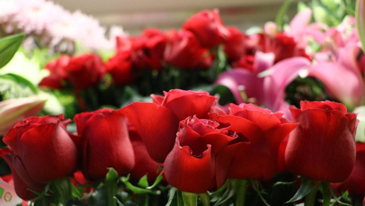 İsimsiz çiçeğe 'taciz' davası