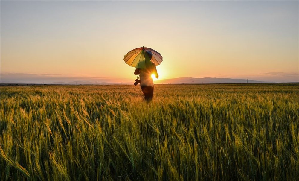 Haftanın fotoğrafları (4-10 Temmuz 2020) - 15