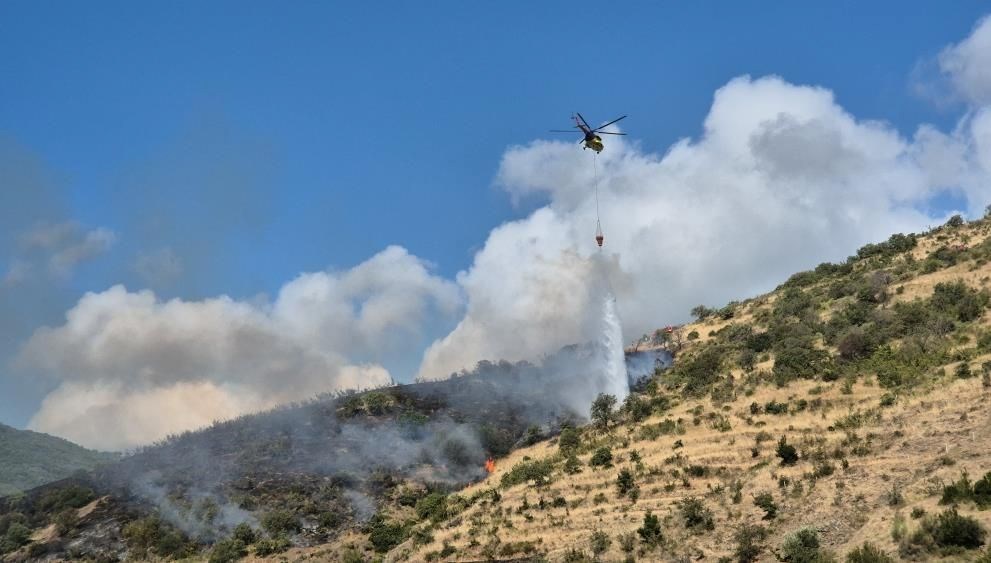 Tekirdağ'da makilik yangını