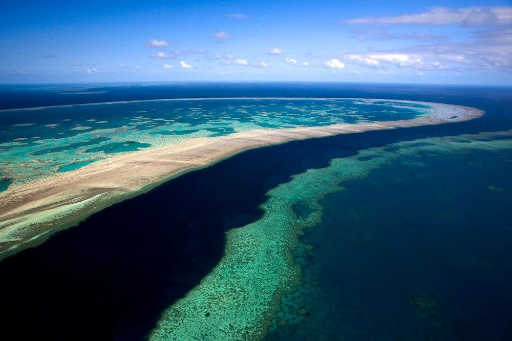 Felaket kapıda: Mercan resiflerinin yarısı 13 yıl içinde yok olabilir - 8