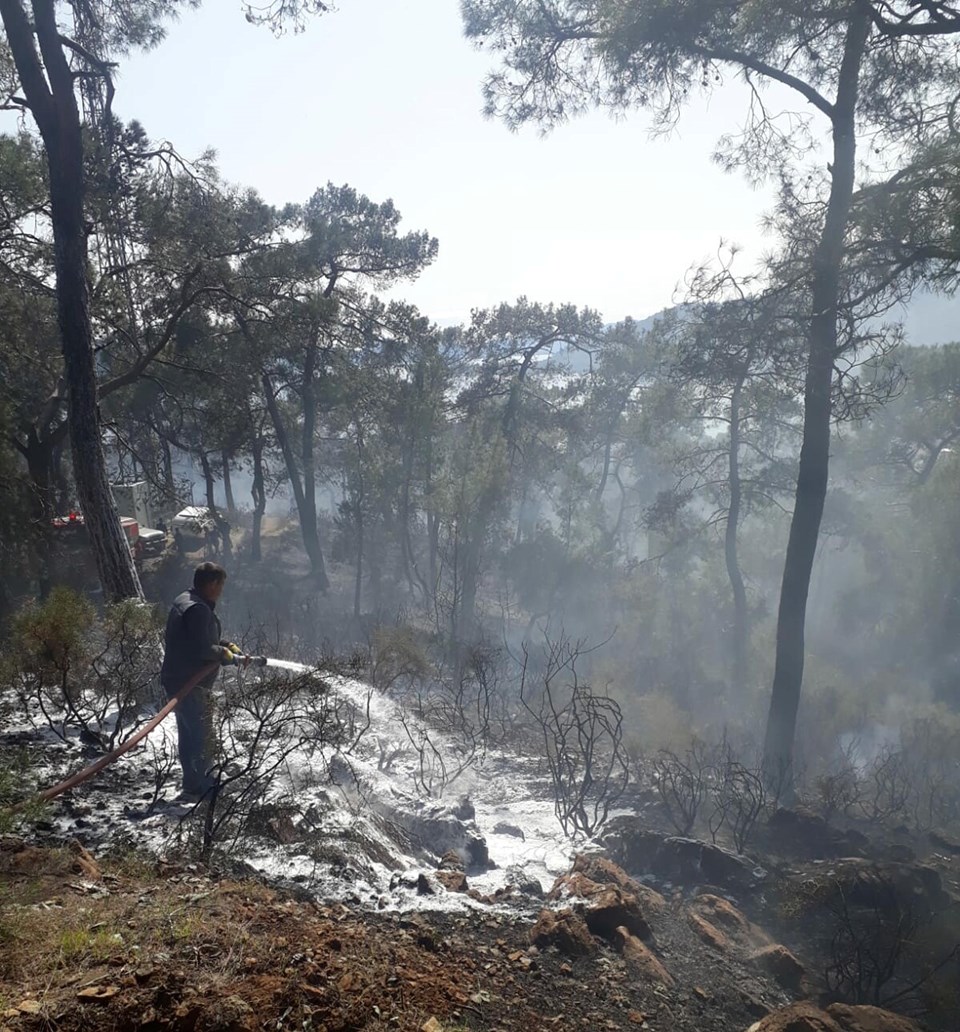 Fethiye'deki orman yangını kontrol altına alındı - 1