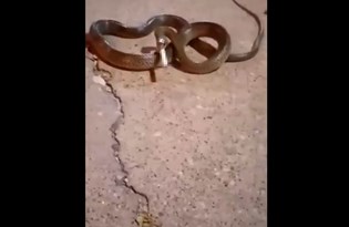 3 yasindaki kuzenine canli yayinda