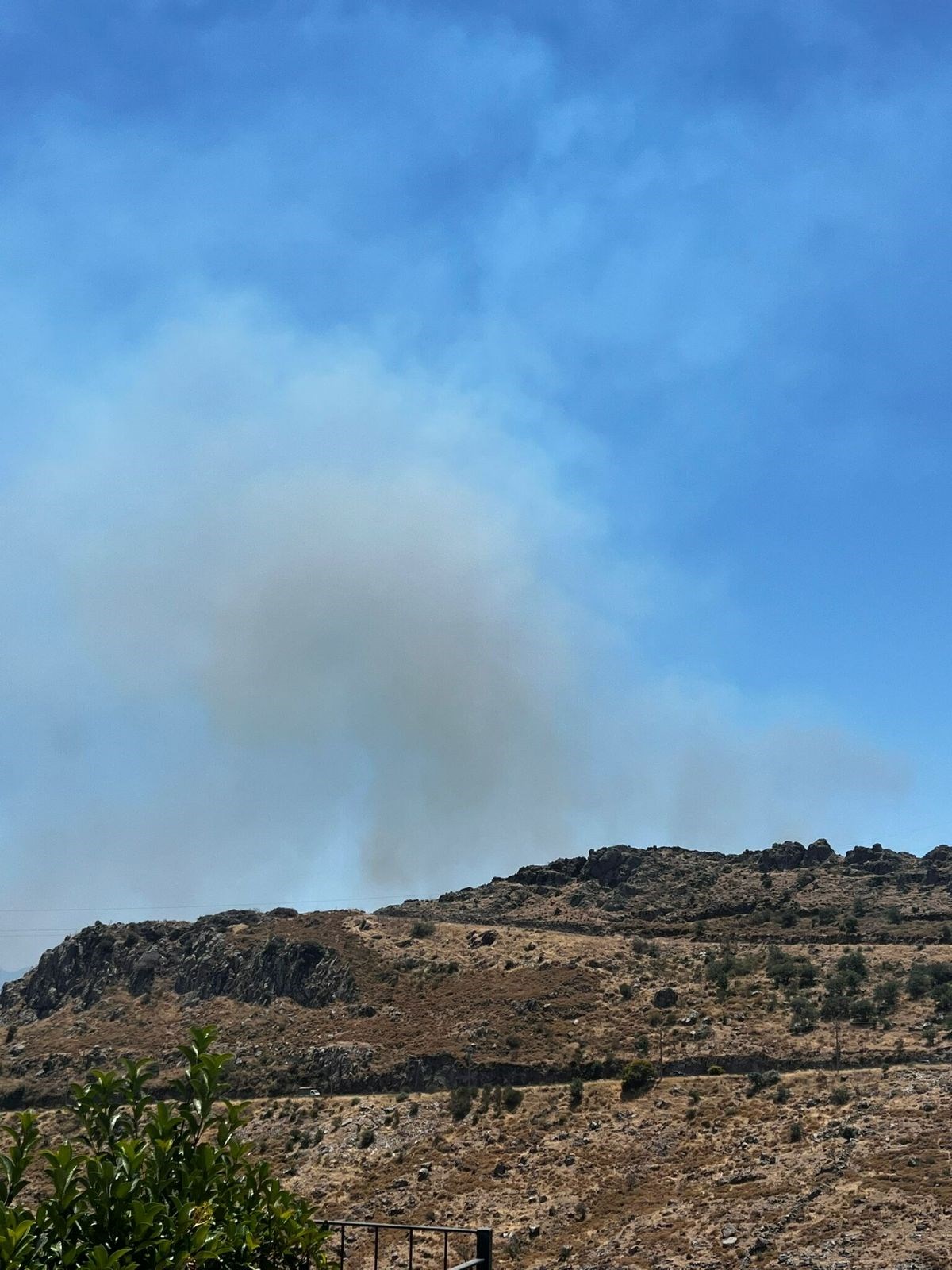 Bodrum'da ot yangını