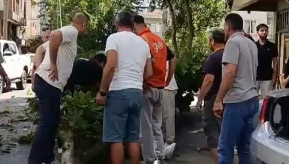 Genç dizi oyuncusunun üzerine ağaç düştü