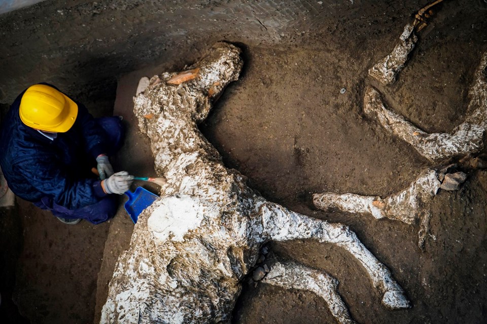 Pompei'de taşlaşmış at kalıntıları bulundu - 1