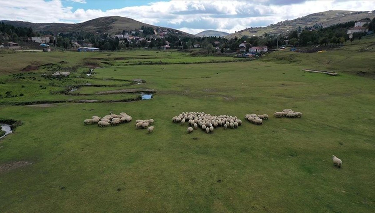 Eğriçimen ve Perşembe yaylaları her mevsim ziyaretçi çekiyor Eğriçimen ve Perşembe yaylaları her mevsim ziyaretçi çekiyor