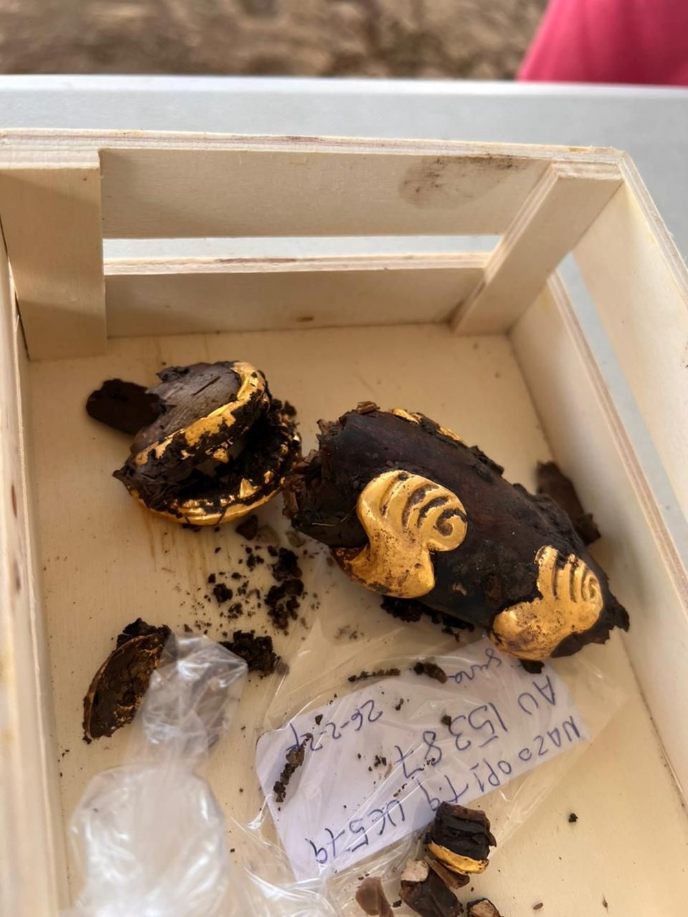 1200 yıllık kral hazinesi ve kurbanları bulundu - 3