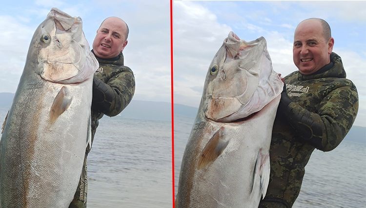 Çanakkale'de yakaladı, kıyıya çıkardı: 1.8 metre boyunda 63 kilogram