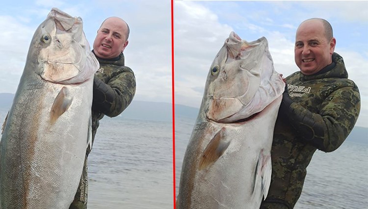 Çanakkale'de yakaladı, kıyıya çıkardı: 1.8 metre boyunda 63 kilogram Çanakkale'de yakaladı, kıyıya çıkardı: 1.8 metre boyunda 63 kilogram