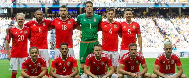 galler milli takımı ile ilgili görsel sonucu