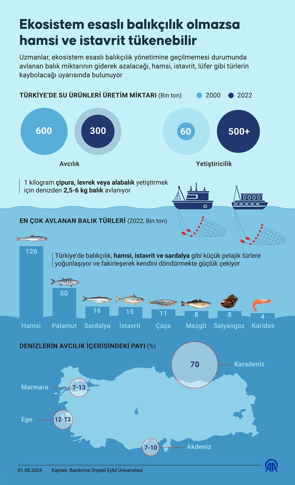 Balık miktarı yarı yarıya azaldı - 1