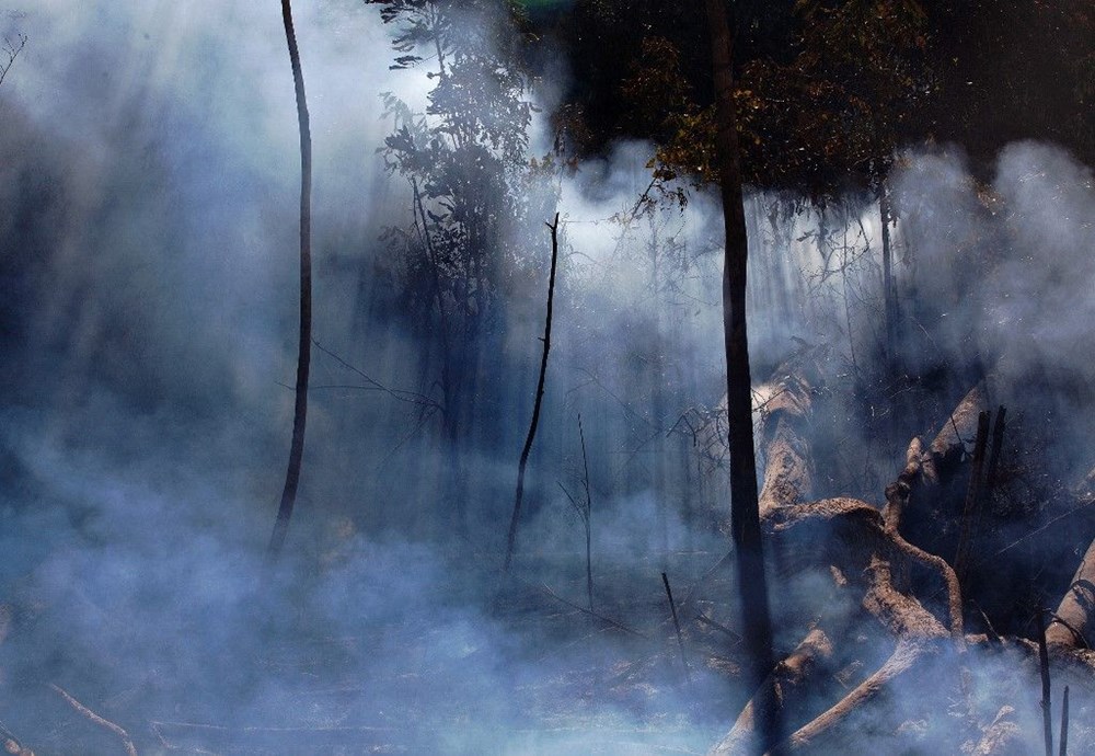 Amazon ormanlarında 14 yıl sonra en büyük kayıp: Haziran ayında rekor alan kül oldu - 6