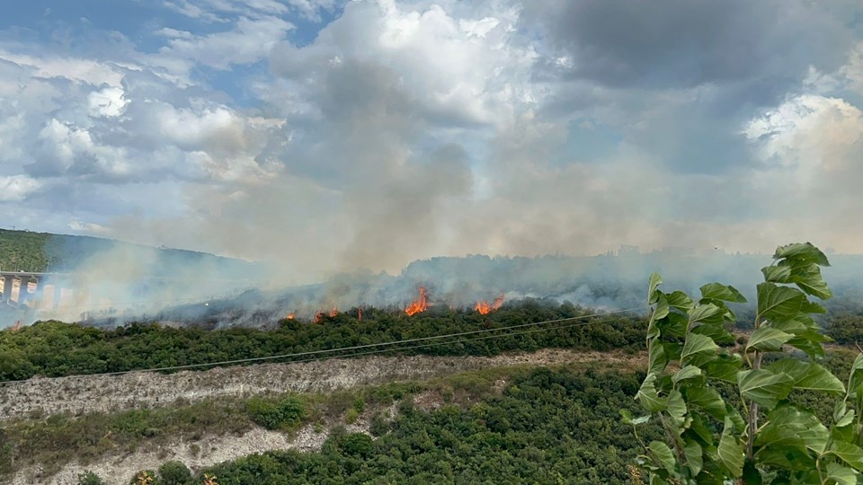 Kocaeli'de orman yangını - 2