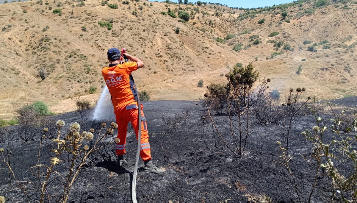 Bingöl'de ormanlık alanda yangın