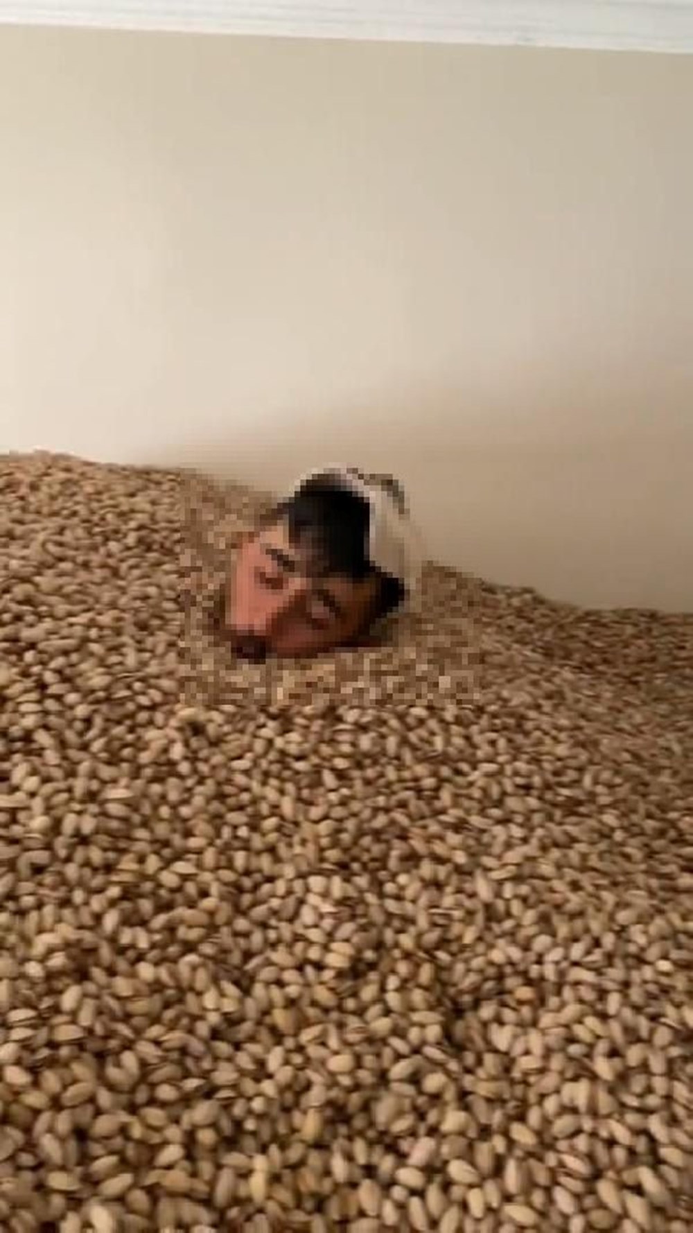 Fıstık deposunda tepki çeken görüntü - 3