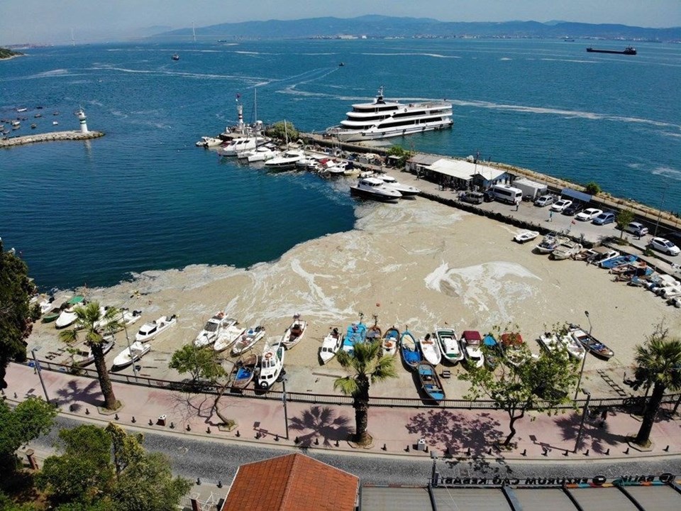 Uzmanlar endişeli: Marmara'da tekrar müsilaj patlaması olacak mı? - 3