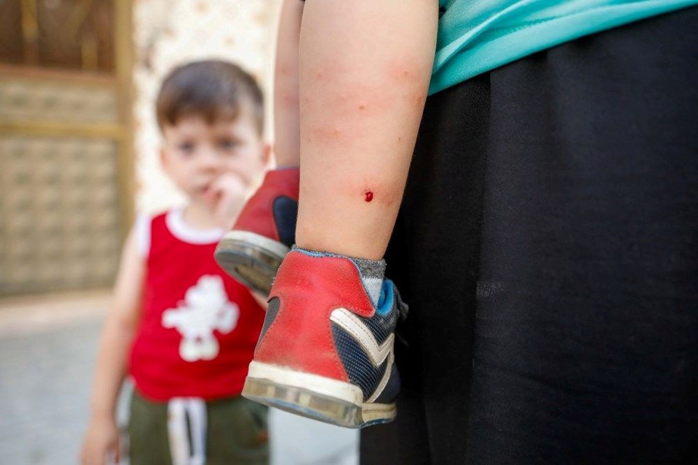 İstanbul'da'Aedes' cinsi sivrisinekle mücadele - 7