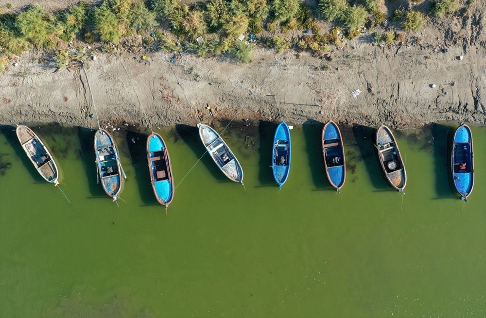 Kuş cenneti Bafa Gölü'nde korkutan görüntü - 7