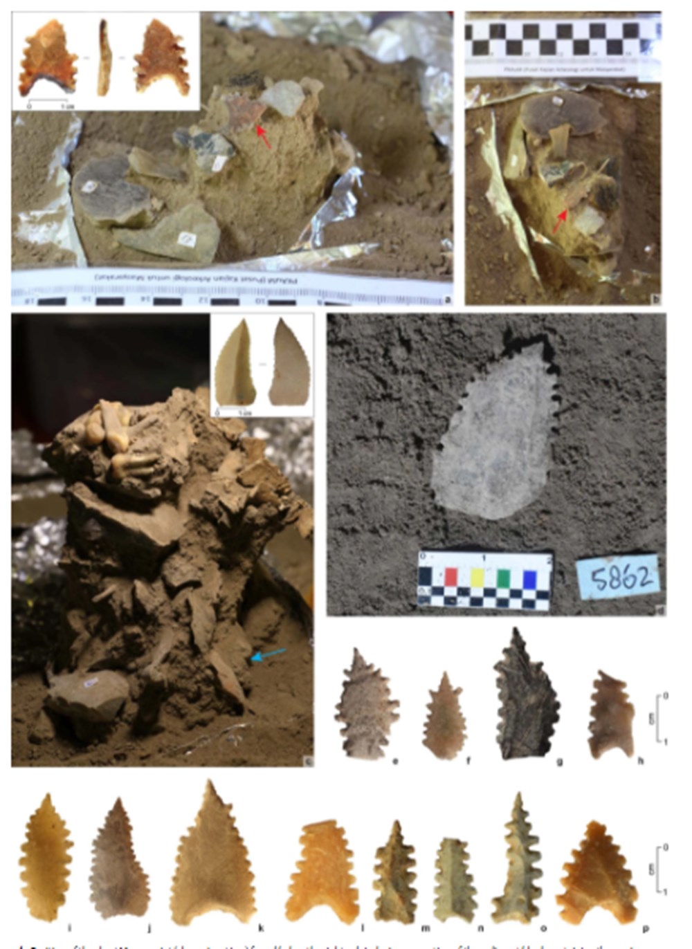 DNA sample of woman who died 7,200 years ago discovered in Indonesia - 7