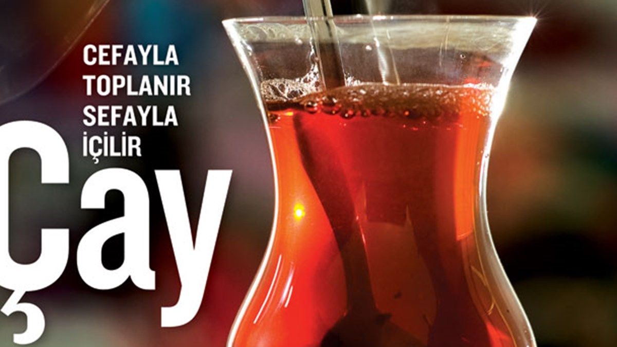 Çayın Türkiye serüveni - Magazin Haberleri | NTV