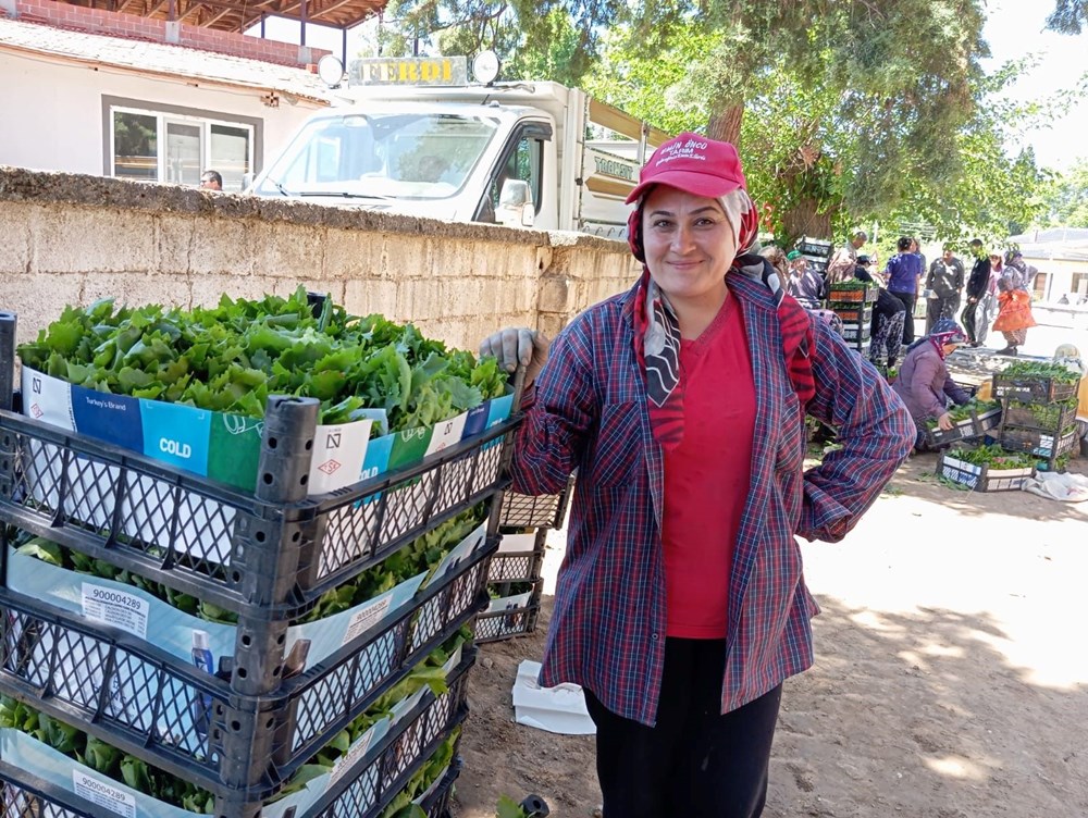 Türkiye’nin değerli üzüm üretim merkezlerinden biri: Bağ yaprağı dönemi açıldı 73 c1XP2SXcZES0vtv1bcCjiw