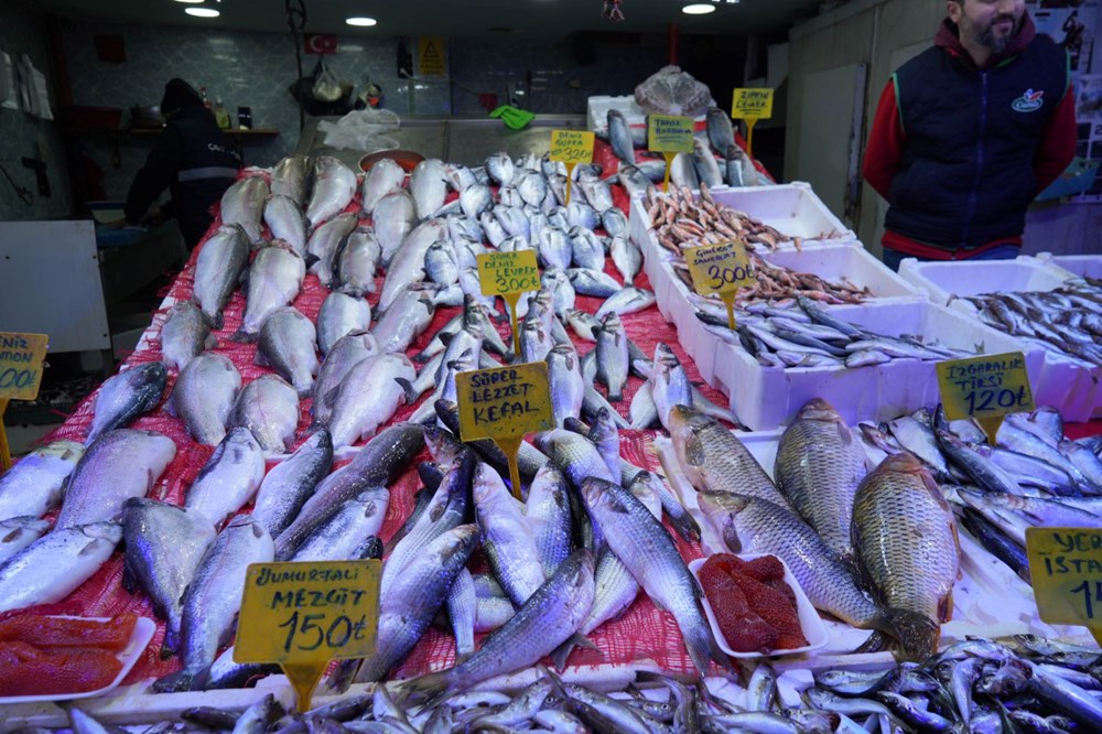 Karadeniz'den Bereket Fışkırıyor: 70 Yılda Bir Görülen Bolluk! 72 c1kchYeTwkGsZUiWoIQEXQ