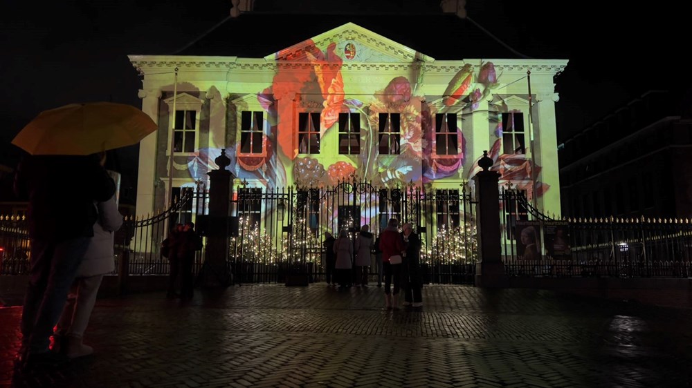 Hollanda'nın Lahey kentinde ışık festivali - 8