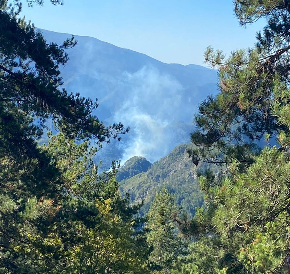 Muğla, Mersin, Hatay ve Osmaniye'de orman yangını - 3