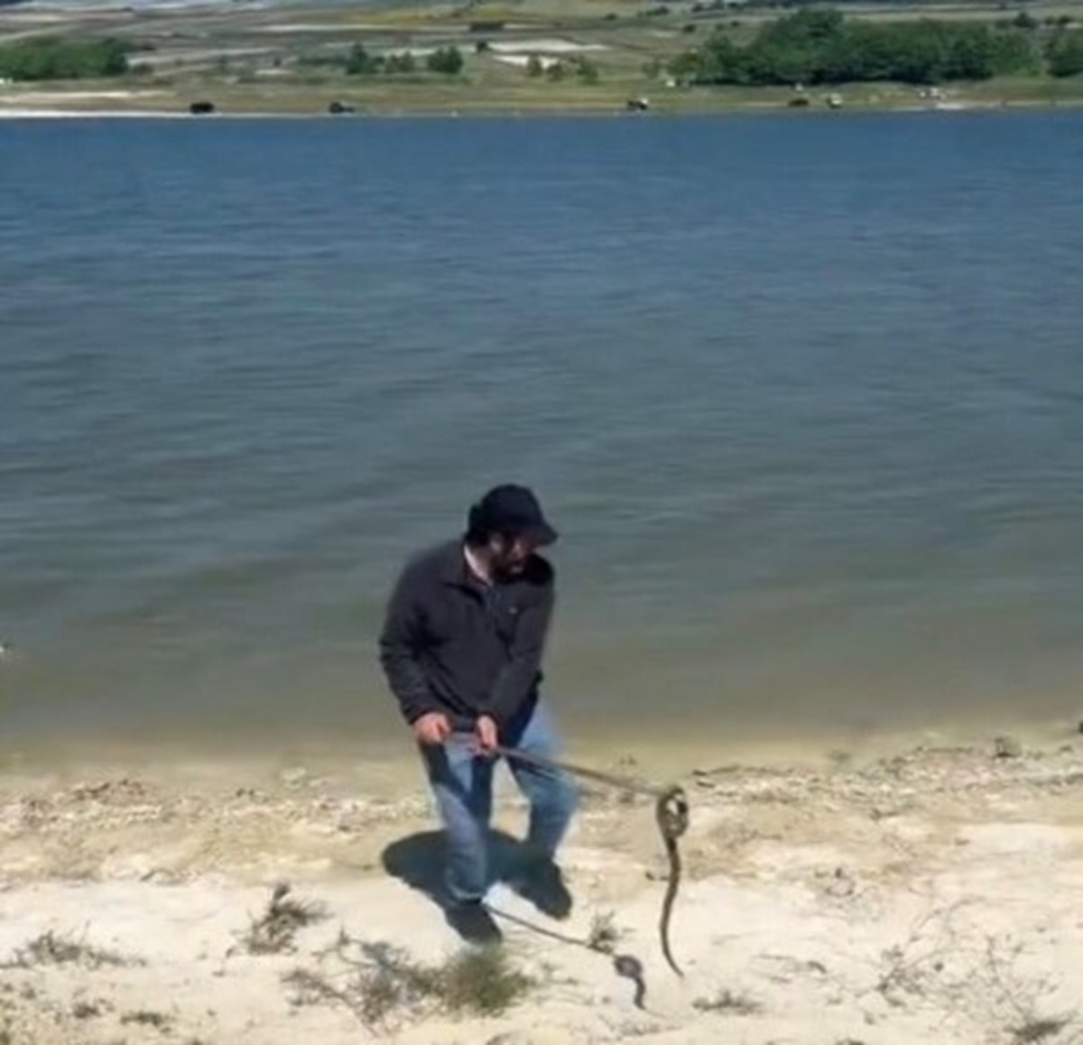 Sazlıbosna baraj gölü çevresi yılanların en fazla görüldüğü alanlardan