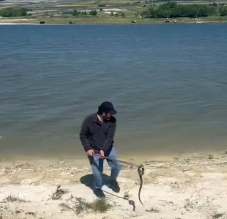 Havalar ısındı, yılanlar ortaya çıktı! İstanbul'daki en riskli yedi ilçe - 2