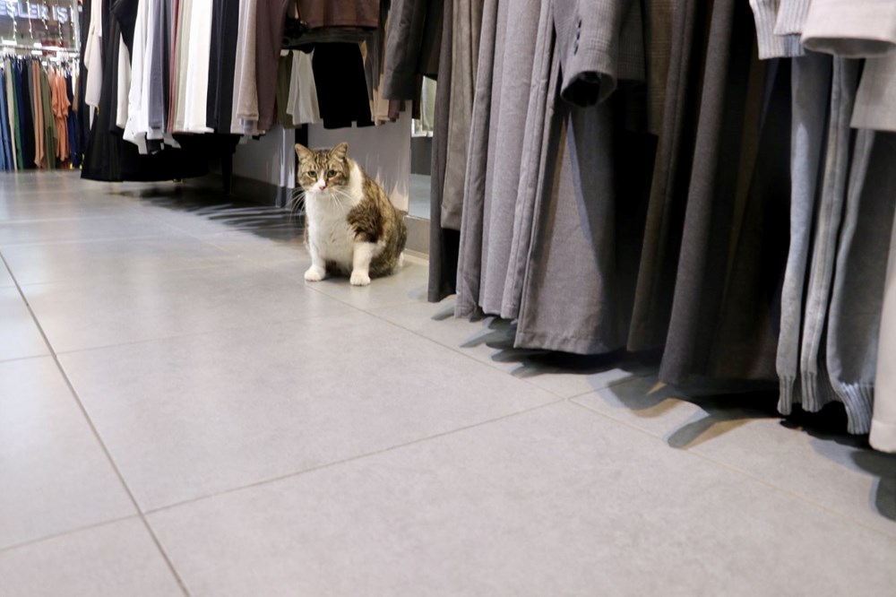 7 yaşındaki "Dombili" diyet yapamıyor: "Biri kıymalı pidenin kıymasını, diğeri köfte veriyor" - 5