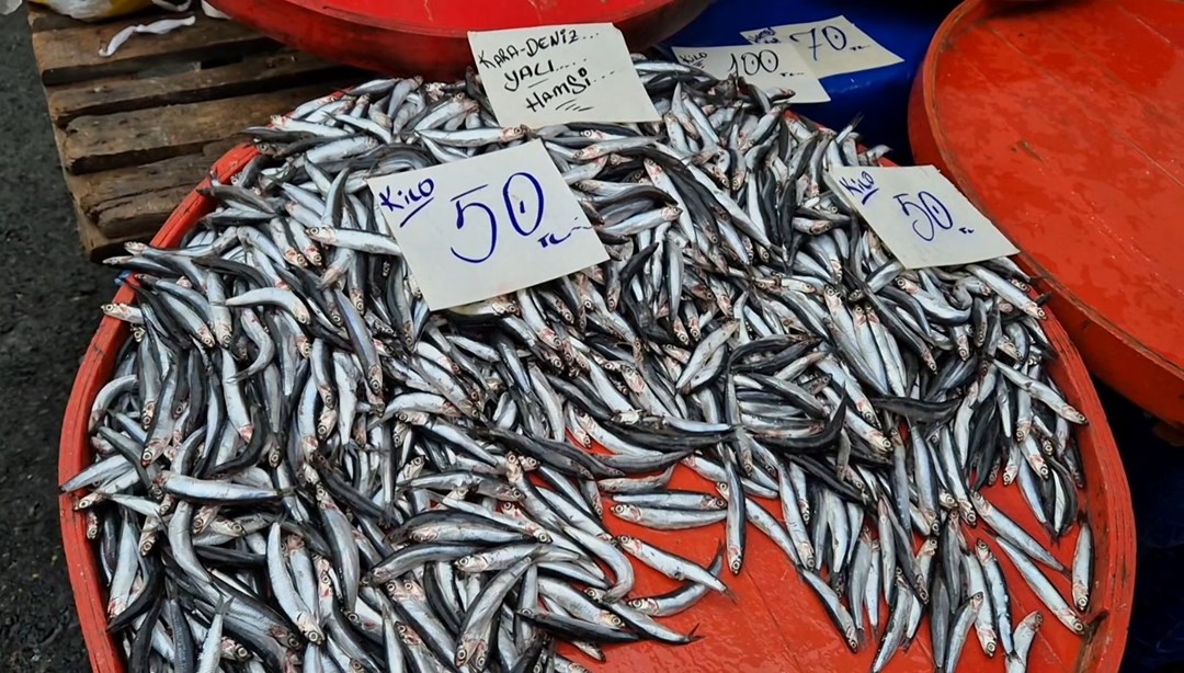 Tekirdağ'da hamsinin kilosu 50 liraya kadar düştü