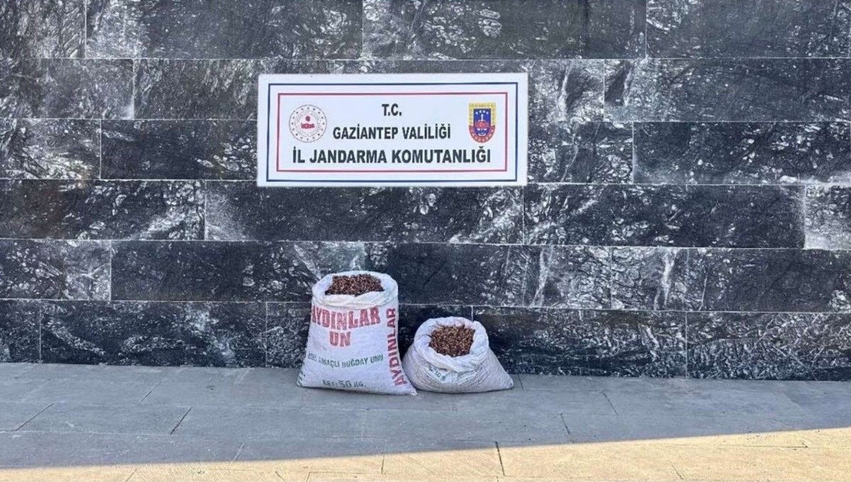 Fıstık hırsızlarına operasyon: 6 kişi suçüstü yakalandı Fıstık hırsızlarına operasyon: 6 kişi suçüstü yakalandı