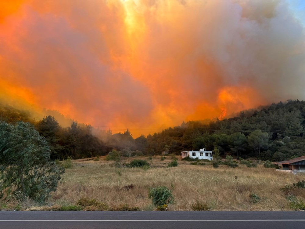 Türkiye alevlerle mücadele ediyor: 3 ilde orman yangını, ekiplerin müdahalesi sürüyor - 10