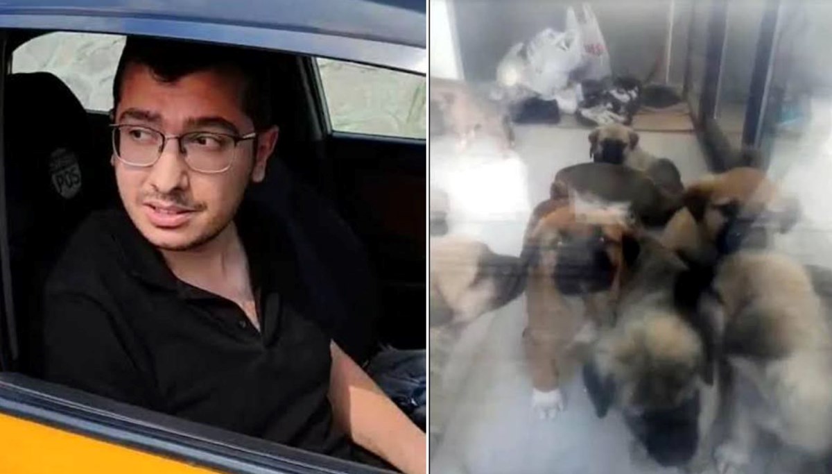 Sahiplendiği köpekleri katleden doktora 9 yıl 9 ay hapis cezası Sahiplendiği köpekleri katleden doktora 9 yıl 9 ay hapis cezası