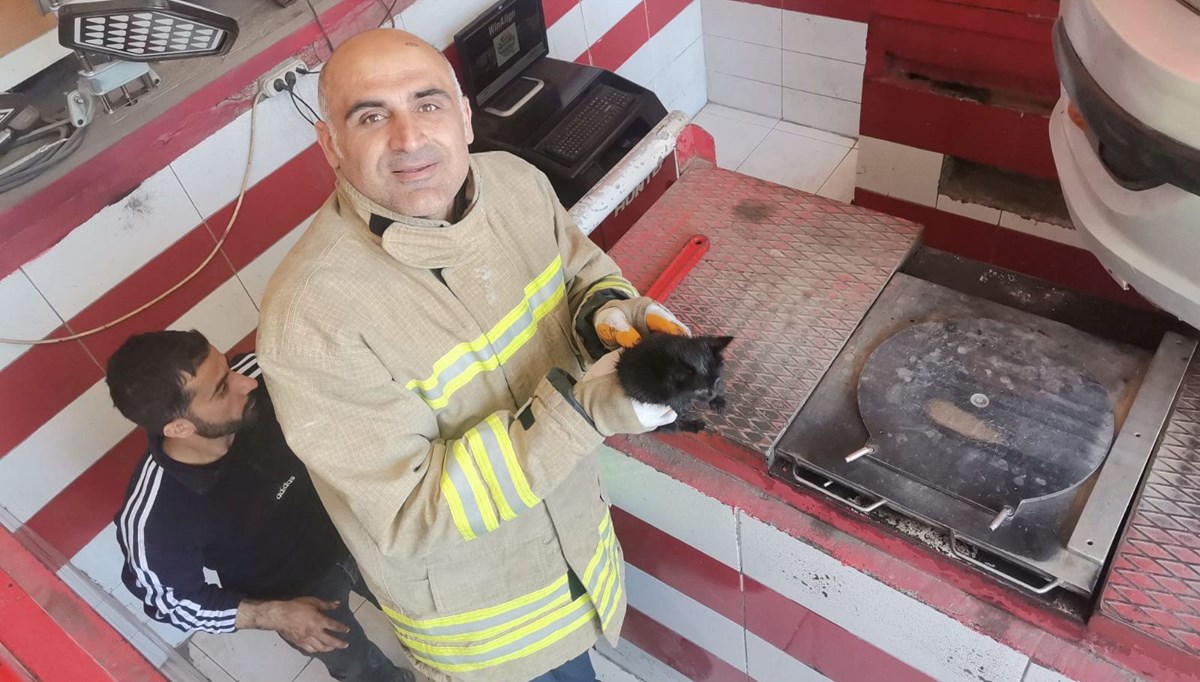 Otomobilin motor bölümüne sıkışan yavru kedi kurtarıldı
