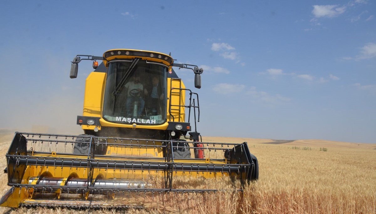 Bulanık’ta hububat hasadı başladı