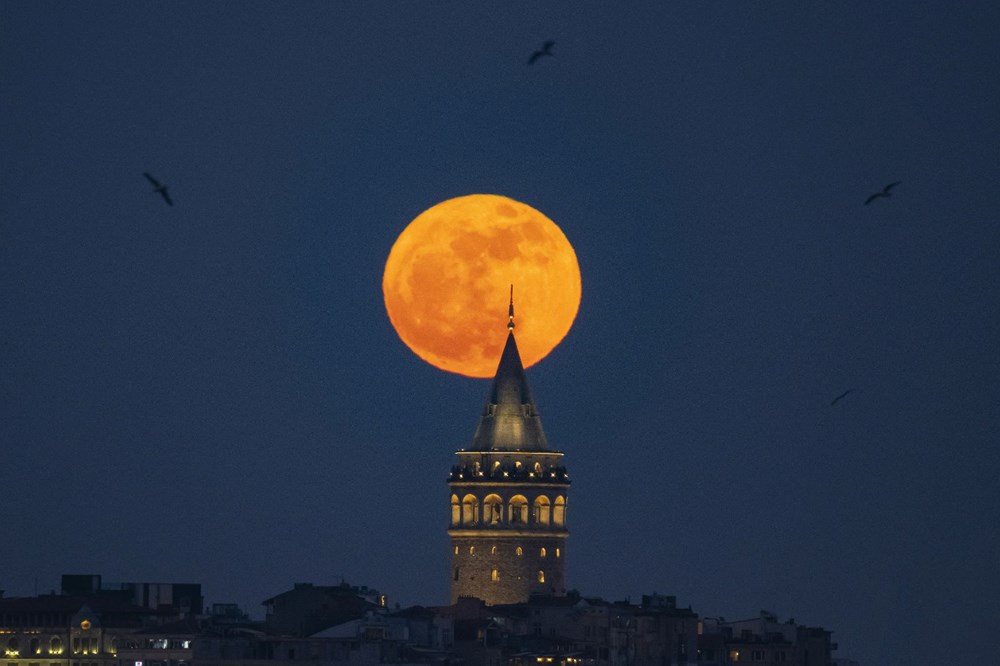 cCRFJYk0dUe5bNGi5RLleA