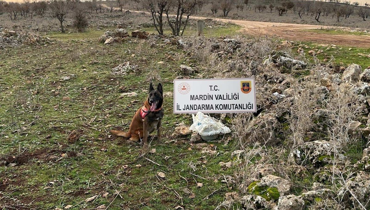 Mardin’de yola tuzaklanan patlayıcı imha edildi