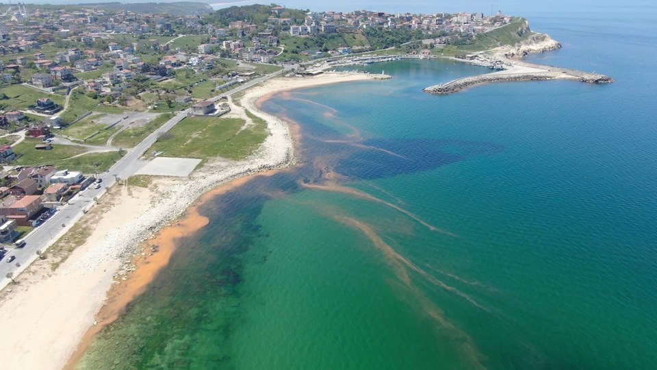 Karadeniz'in rengi korkuttu: İlk defa böyle bir şey gördük - 1