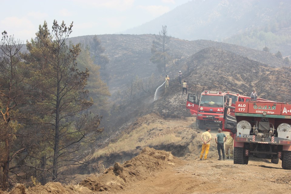 Erzurum'daki orman yangını kontrol altına alındı - 1
