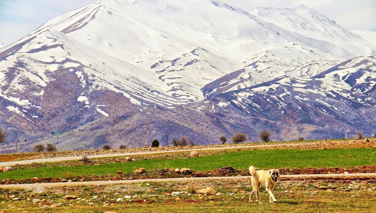 Kahramanmaraş'a yılın ilk karı yağdı, kartpostallık görüntüler oluştu