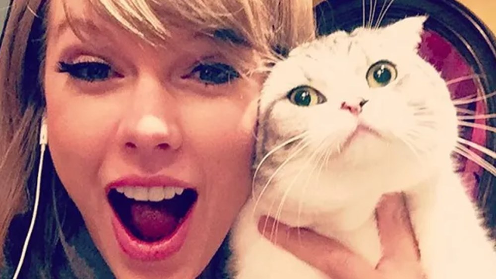 Kedisi, sevgilisinden daha çok kazanıyor! Taylor Swift servetine servet kattı - 2