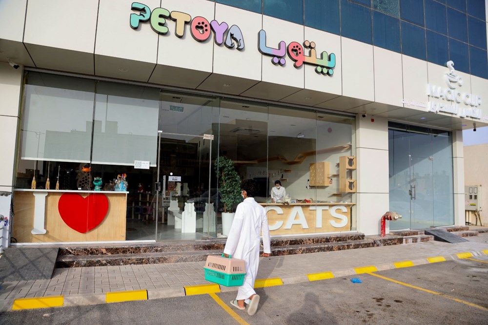 Suudi Arabistan'da kediler için 5 yıldızlı otel açıldı: Hizmette sınır yok - 2