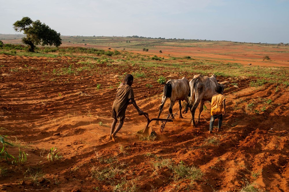 Tarihte sadece iklim krizinden kaynaklanan ilk kıtlık Madagaskar'ı kırıp geçiriyor - 1