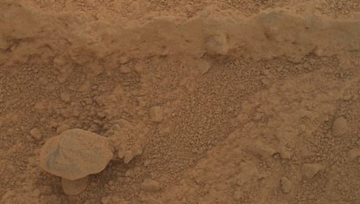 Kızıl Gezegen'de yetişen gizemli mantar