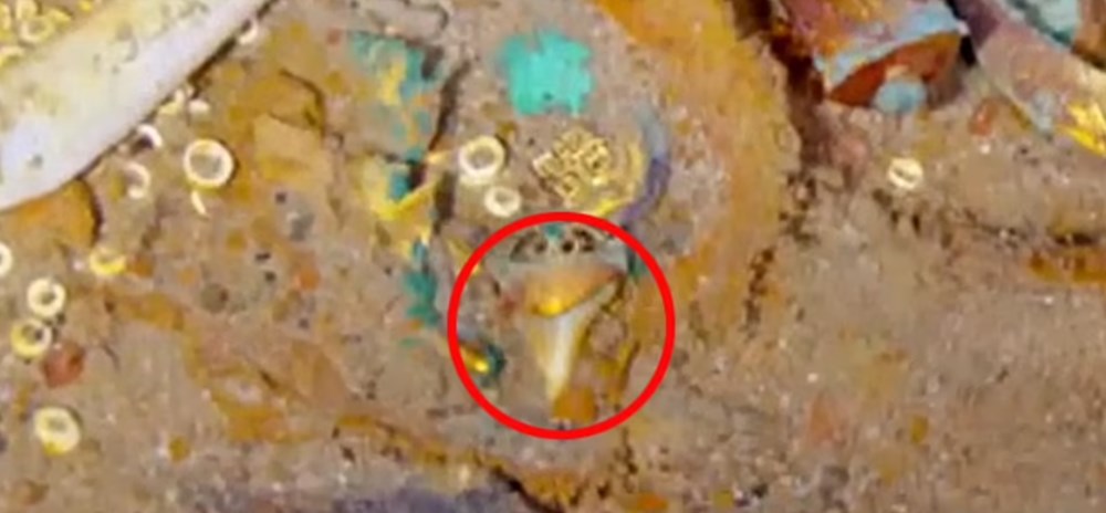 Titanik’in kayıp hazineleri ortaya çıktı: Megaladon dişinden yapılmış altın kolye bulundu - 6